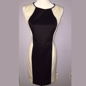 Rachel Roy Black/Cream Sleeveless Dress - Size 8